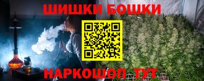прущие грибы Сланцы