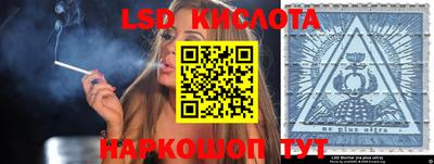 прущие грибы Сланцы