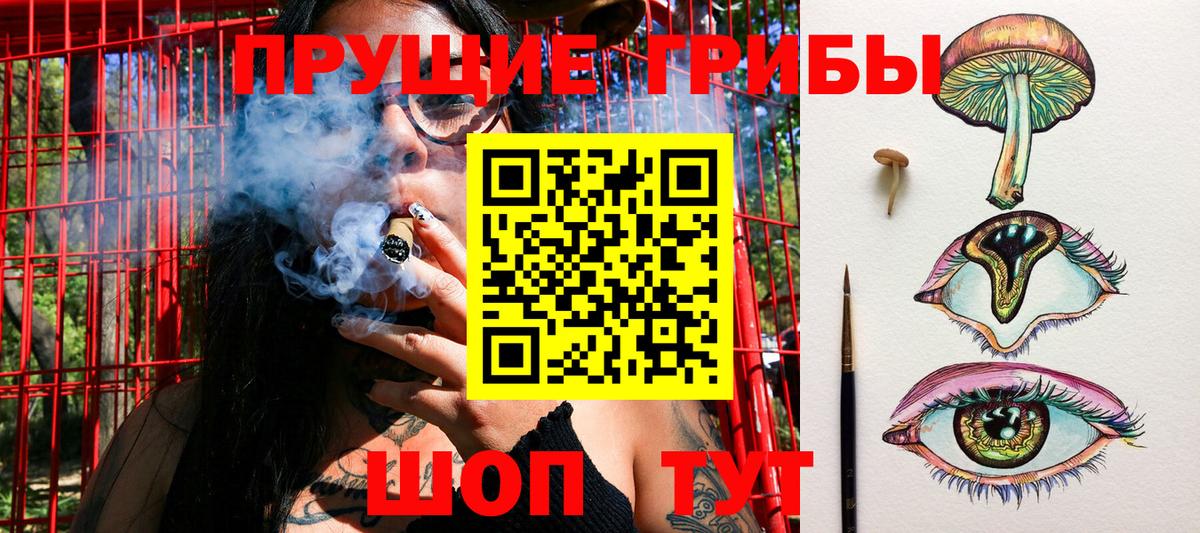 Новый Уренгой  Псилоцибиновые грибы Psilocybe  Псилоцибиновые грибы мицелий  Вход с VPN 