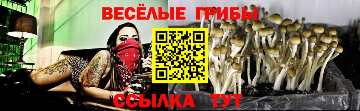 Псилоцибиновые грибы мухоморы Новый Уренгой